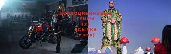 сатива Алексин