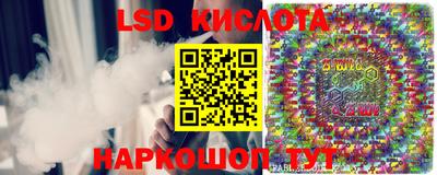 шишки Кингисепп
