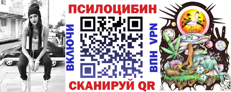где продают наркотики  Кольчугино  ОМГ ОМГ как войти  Галлюциногенные грибы мицелий 
