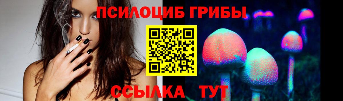 Псилоцибиновые грибы мицелий Кольчугино